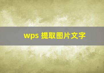 wps 提取图片文字